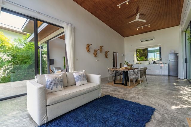 Pitched-ceiling living room with a white sofa and blue rug at a Pahili villa